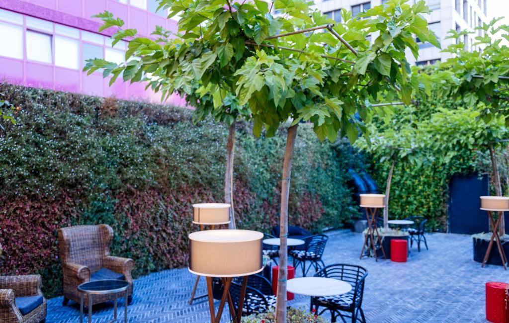 ספא בובו מרשת ספא אדמה - תל אביב